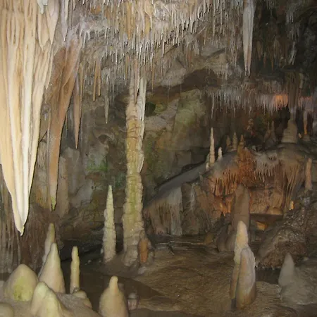 Well Equipped Apartment, Large Terrace, Bbq & Wifi Ria